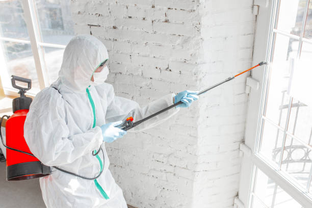 Best Residential Mold Inspection & Testing  in Woodfield, SC